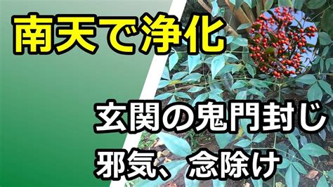 鬼門 植物|鬼門・風水対策の植物・植木は何がいい？ヒイラギや南天以外の。